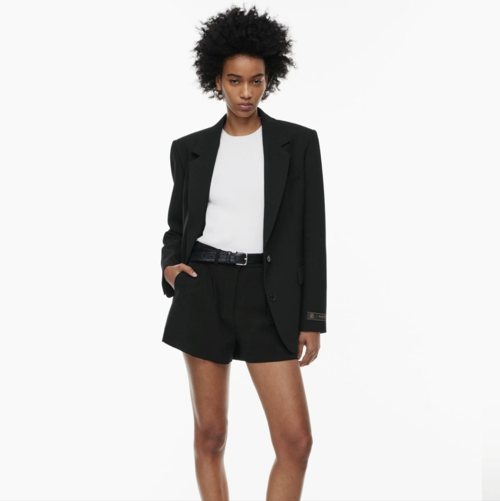 Aritzia Babaton 3" Pleated Mini Short in Black